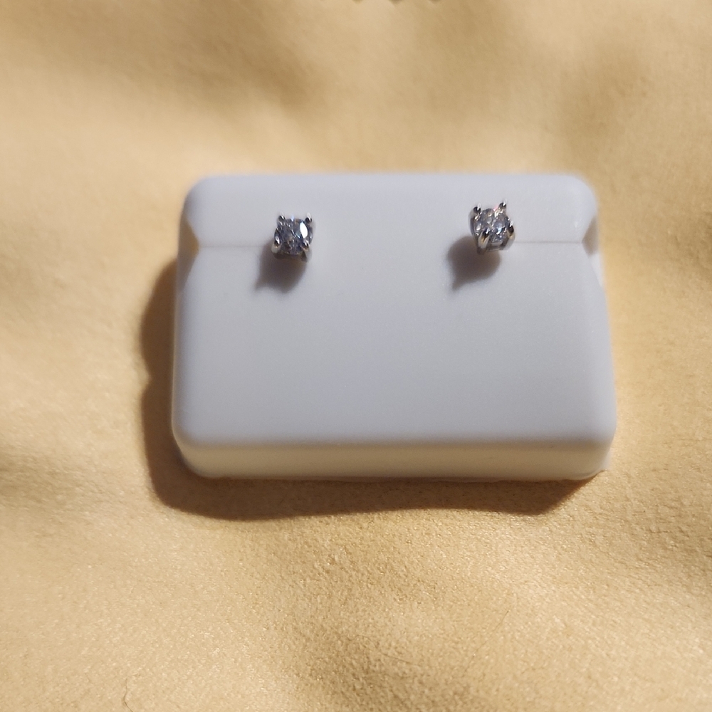 Elegant Silver Stud Earrings